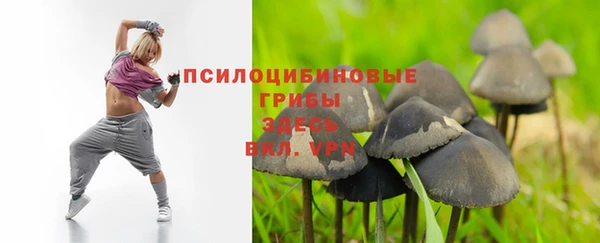 не бодяженный Белокуриха