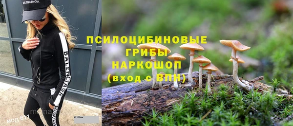 не бодяженный Белокуриха