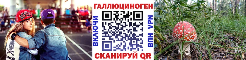 Галлюциногенные грибы Magic Shrooms  Кировск 